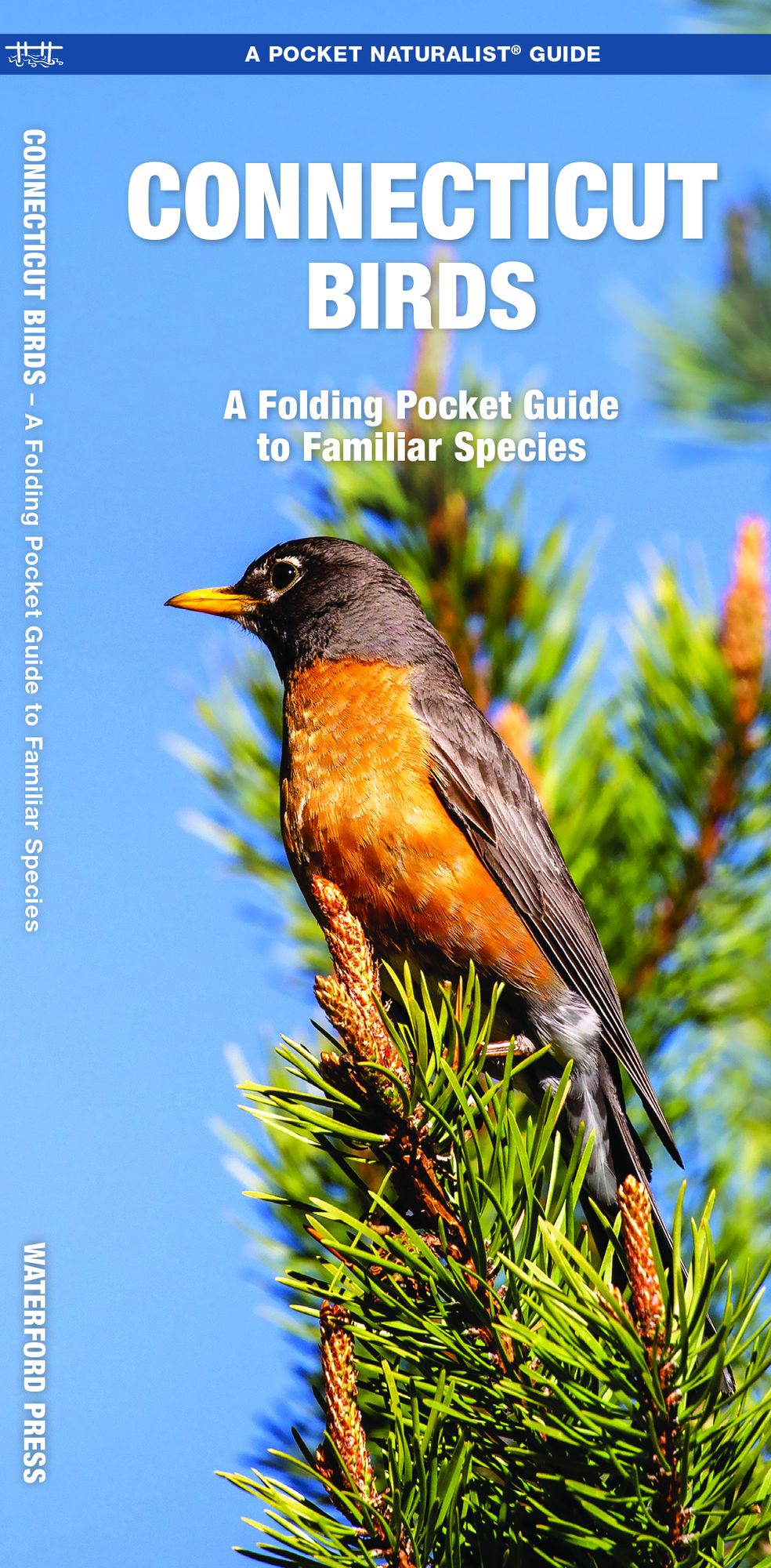 Connecticut Birds: A Folding Pocket Guide to Familiar Species
