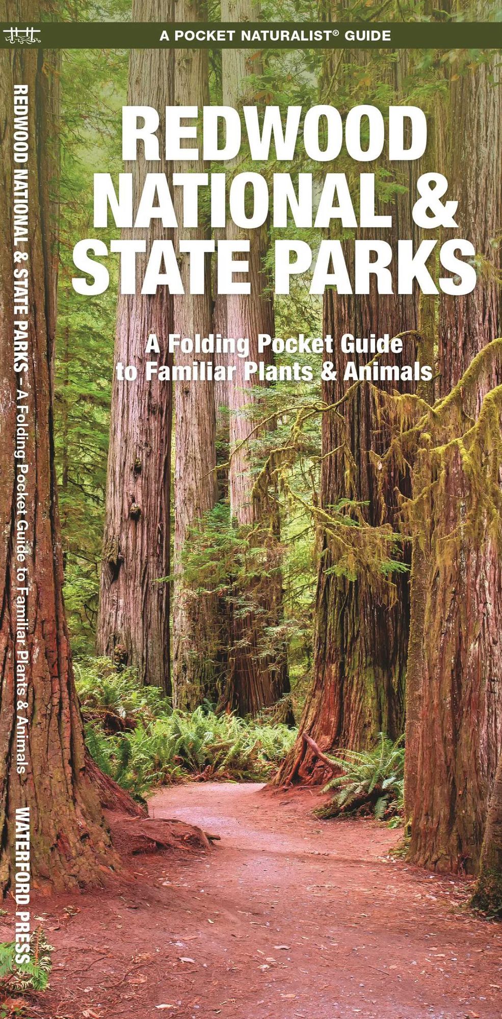 Pocket Naturalist: Redwood National Park
