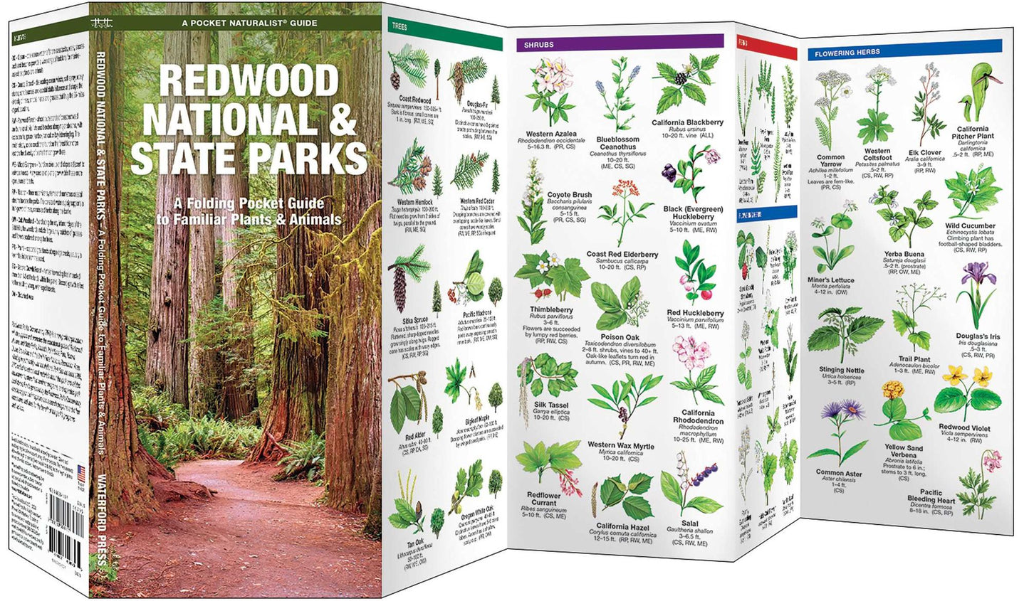 Pocket Naturalist: Redwood National Park