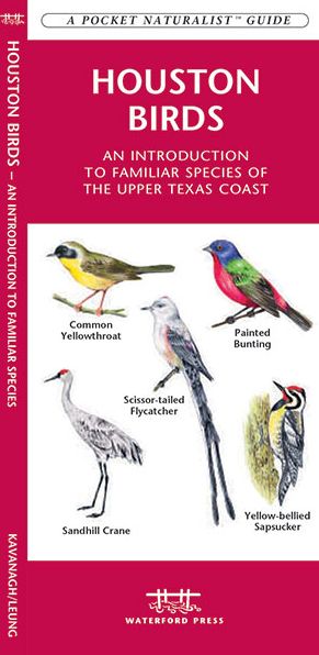 Houston Birds: An Introduction to Familiar Species of the Upper Texas Coast