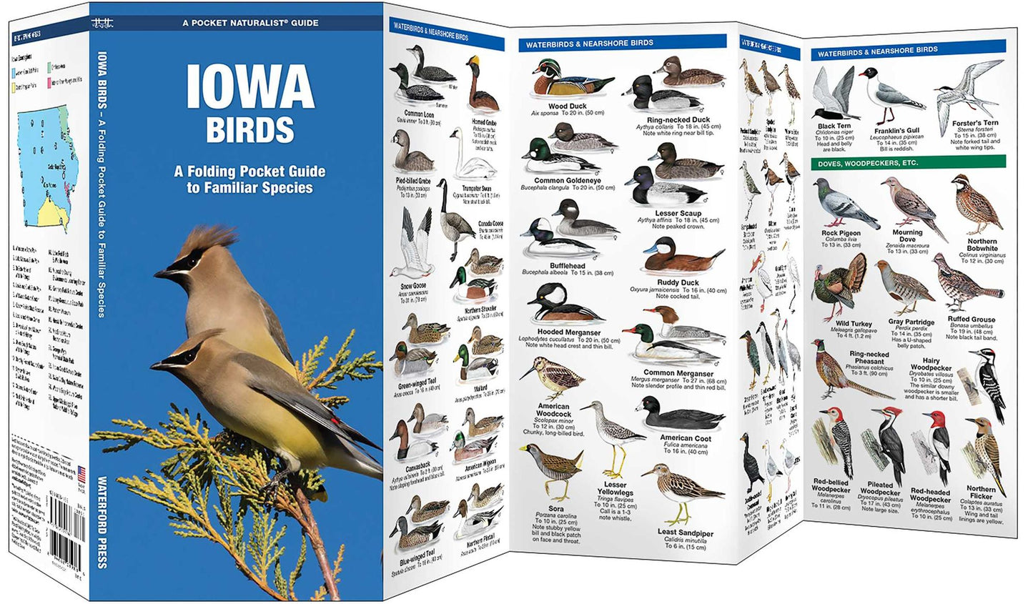 Iowa Birds
