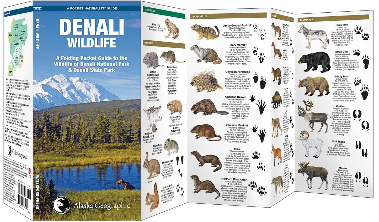Pocket Naturalist Guide to the Wildlife of Denali National Park & Denali State Park