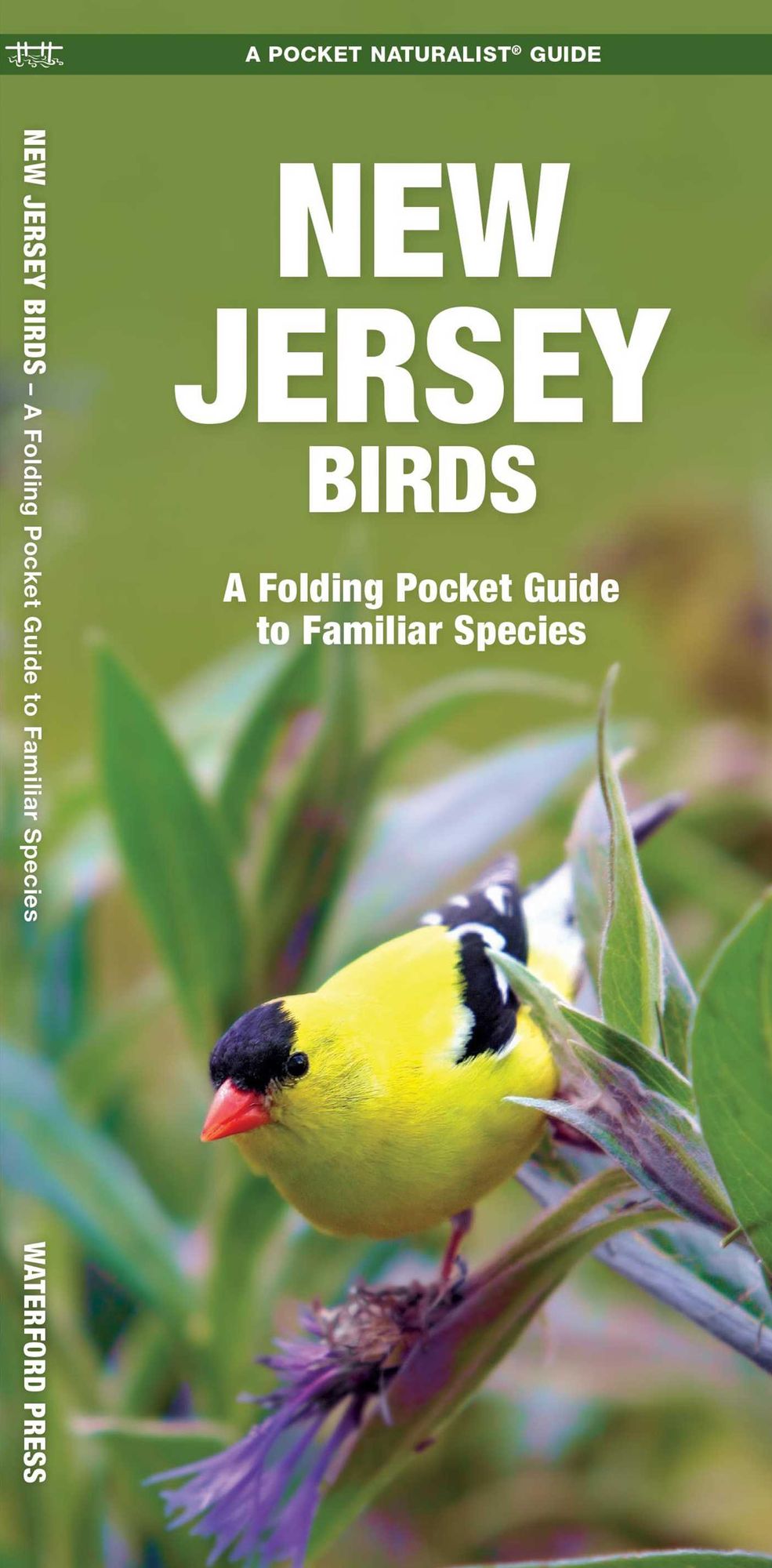 New Jersey Birds