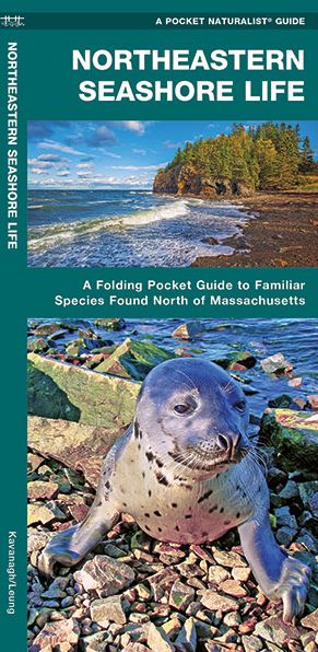 Northeastern Seashore Life: An Introduction to Familiar Coastal Species North of Massachusetts (Pocket Naturalist Series)