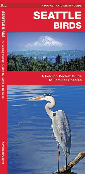 Pocket Naturalist: Seattle Birds: An Introduction to Familiar Species