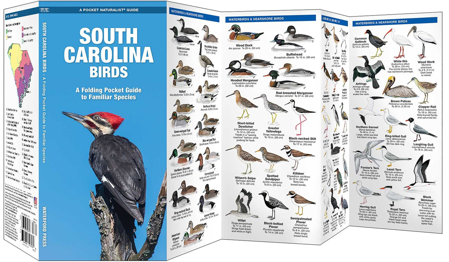 South Carolina Birds