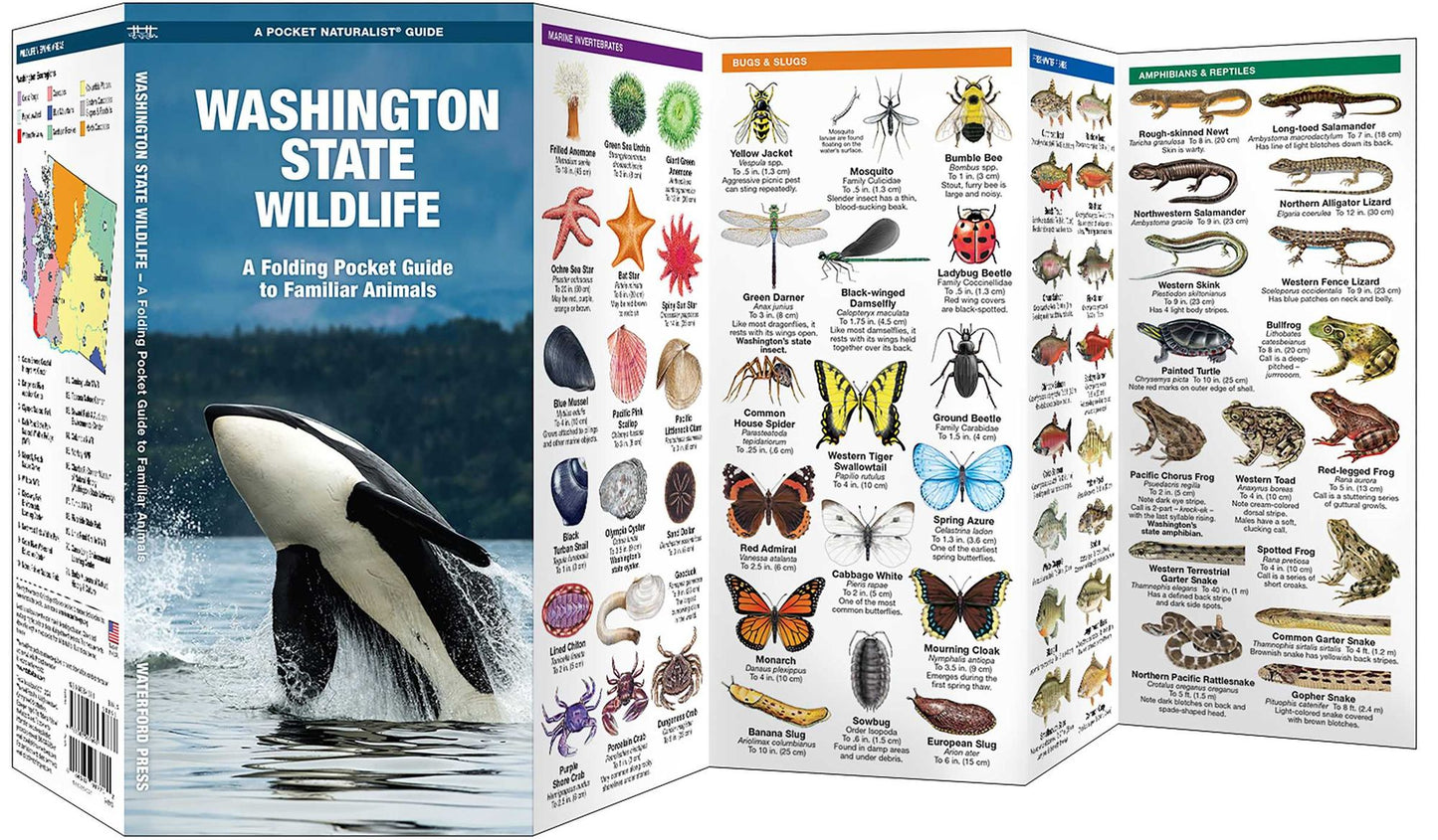 Pocket Naturalists Guide to Washington Wildlife