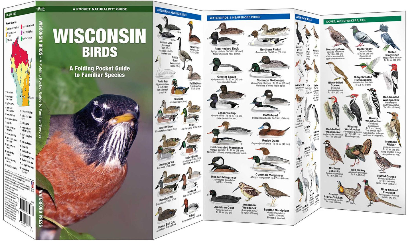 Wisconsin Birds