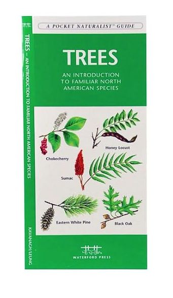 Trees: An Introduction to Familiar North American Species