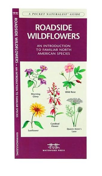 Roadside Wildflowers: An Introduction to Familiar North American Species