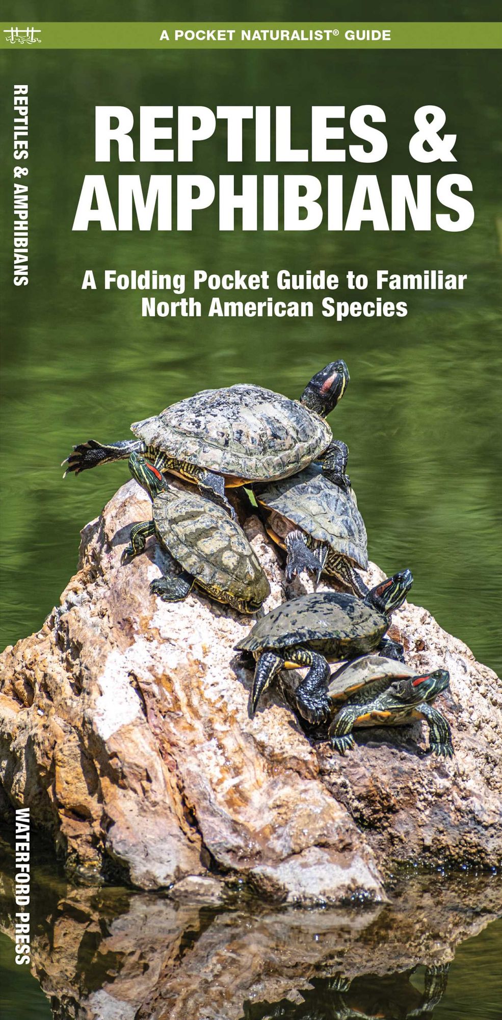 Reptiles and Amphibians: An Introduction to Familiar North American Species