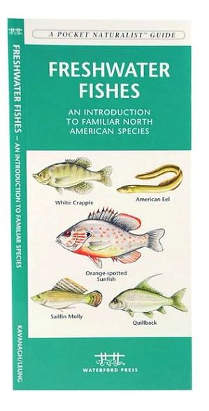 Freshwater Fishes: An Introduction to Familiar North American Species