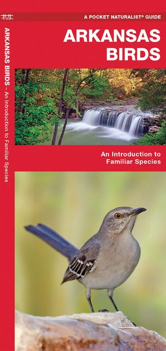 Arkansas Birds: An Introduction to Familiar Species