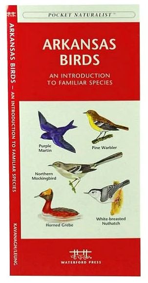 Arkansas Birds: An Introduction to Familiar Species