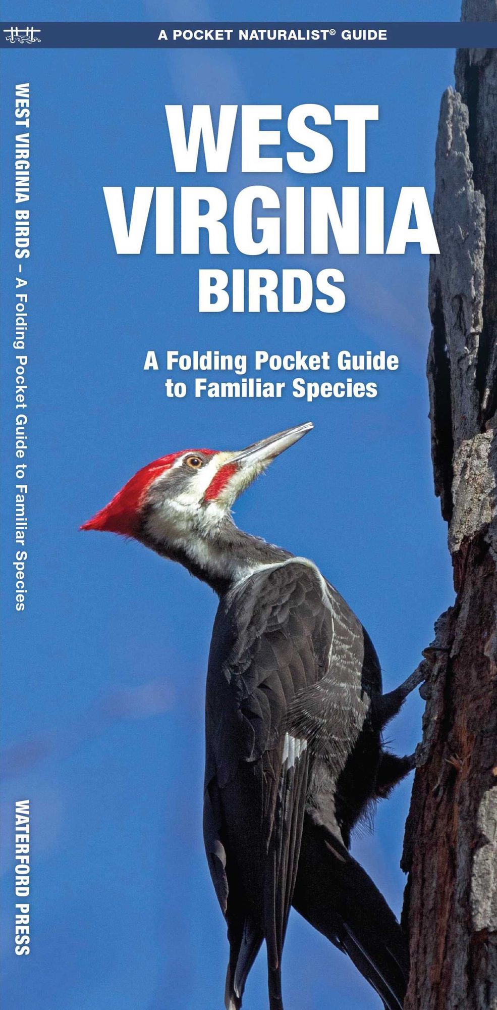 West Virginia Birds: An Introduction to Familiar Species