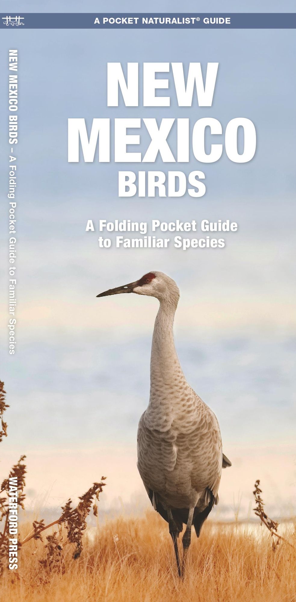 Pocket Naturalist: New Mexico Birds: An Introduction to Familiar Species