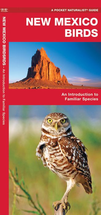 Pocket Naturalist: New Mexico Birds: An Introduction to Familiar Species