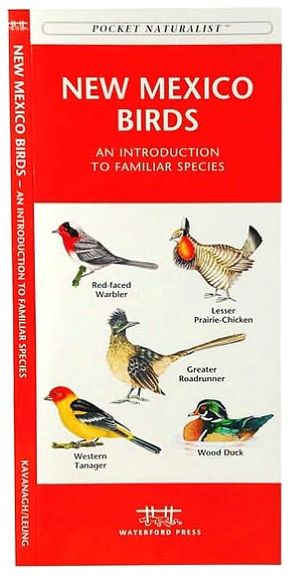 Pocket Naturalist: New Mexico Birds: An Introduction to Familiar Species