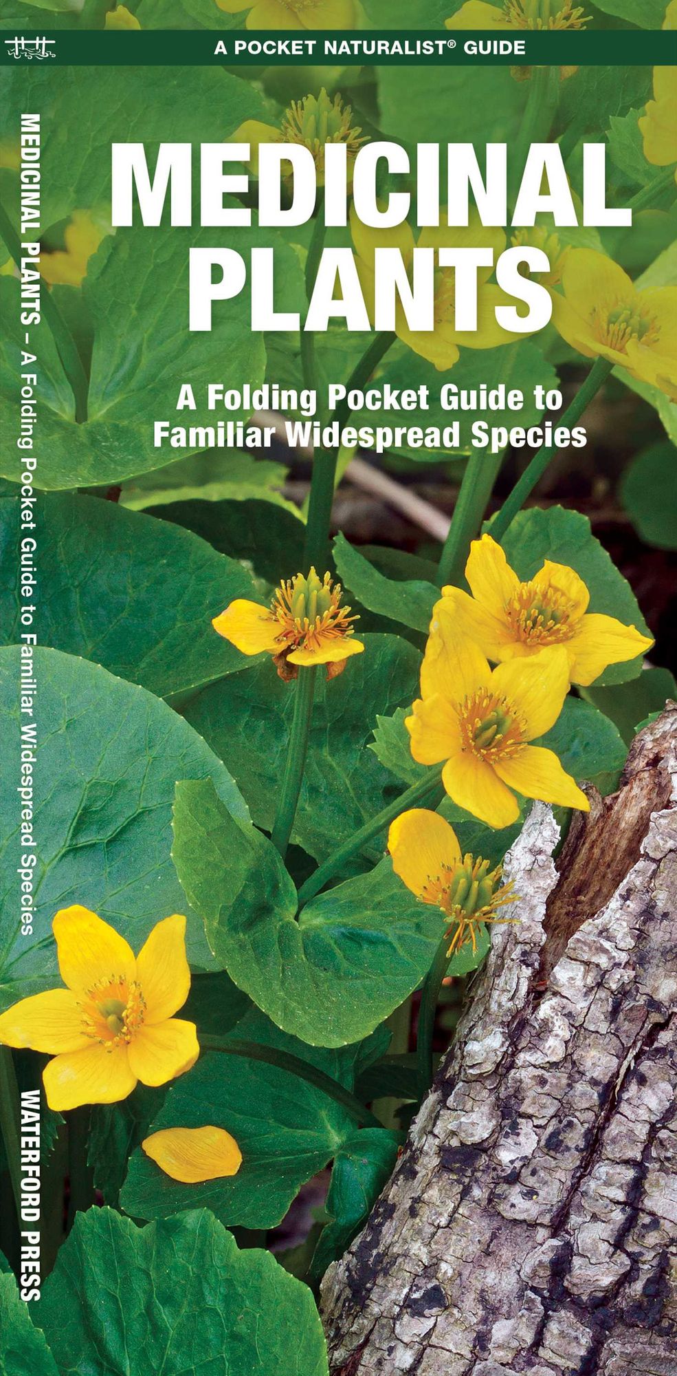 Medicinal Plants: An Introduction to Familiar Widespread Species