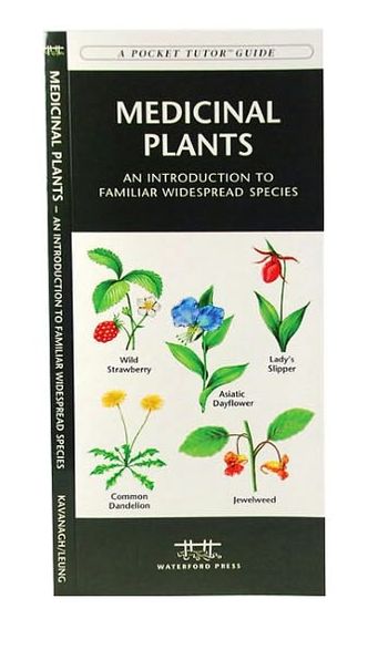 Medicinal Plants: An Introduction to Familiar Widespread Species