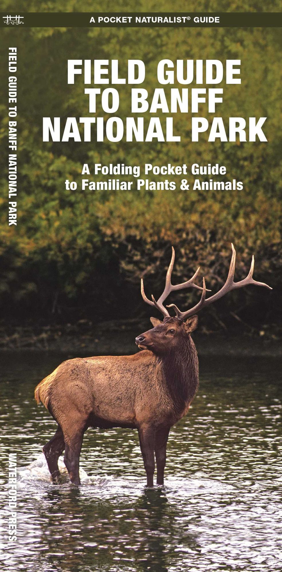 Field Guide to Banff National Park: An Introduction to Familiar Species