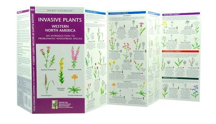 Invasive Plants: Western North America