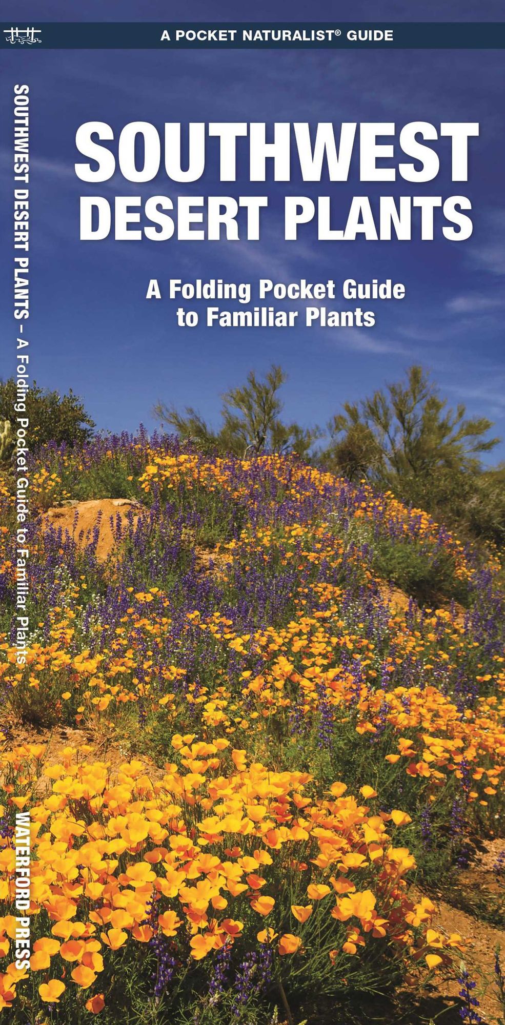 Pocket Naturalist: Southwestern Desert Plants