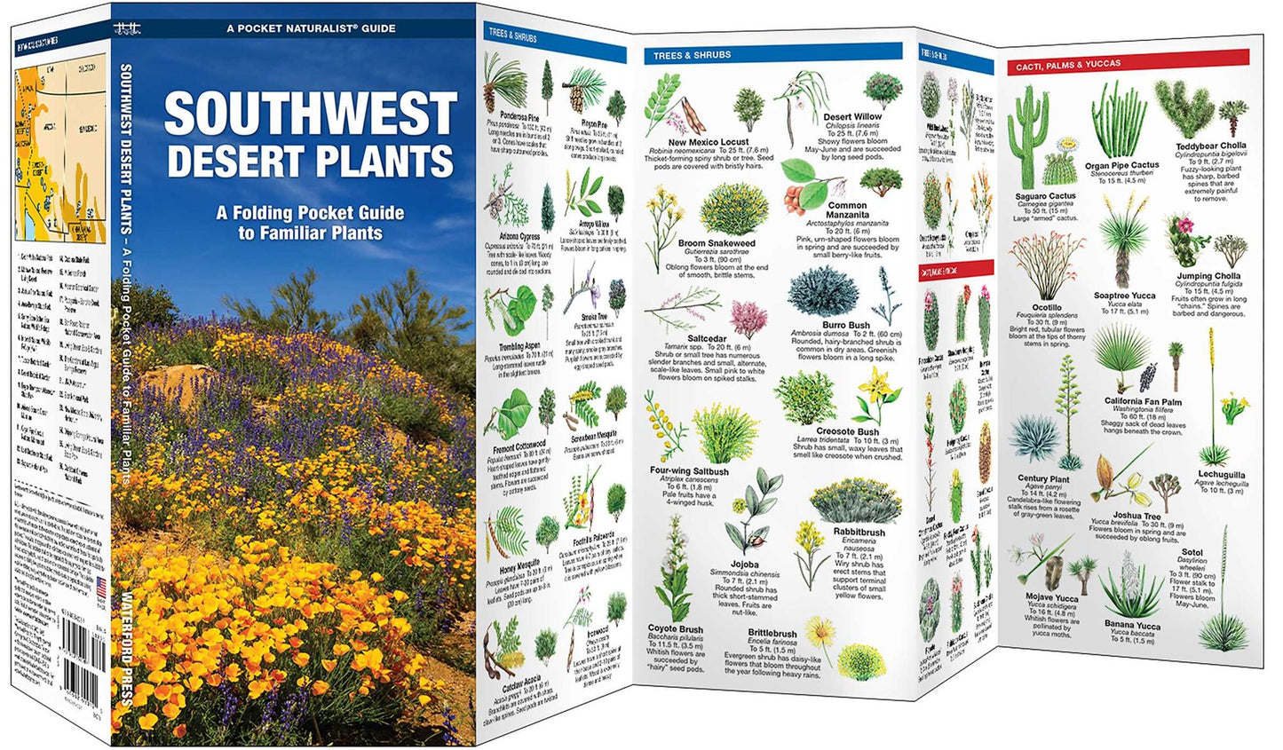 Pocket Naturalist: Southwestern Desert Plants