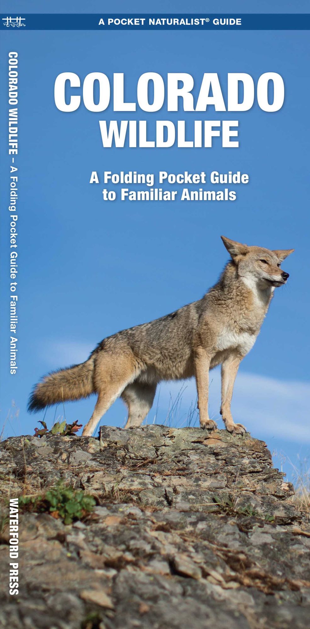 Colorado Wildlife: An Introduction to Familiar Species of Birds, Mammals, Reptiles, Amphibians, Fish, and Insects (Pocket Naturalist Series)