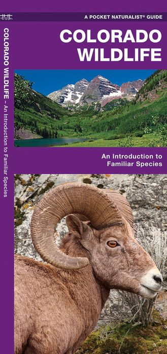 Colorado Wildlife: An Introduction to Familiar Species of Birds, Mammals, Reptiles, Amphibians, Fish, and Insects (Pocket Naturalist Series)