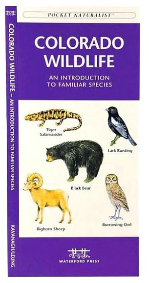 Colorado Wildlife: An Introduction to Familiar Species of Birds, Mammals, Reptiles, Amphibians, Fish, and Insects (Pocket Naturalist Series)
