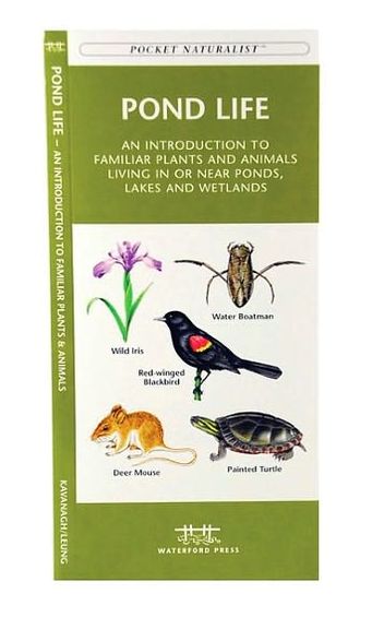 Pond Life: An Introduction to Familiar Plants and Animals Living in or Near Ponds, Lakes, and Wetlands