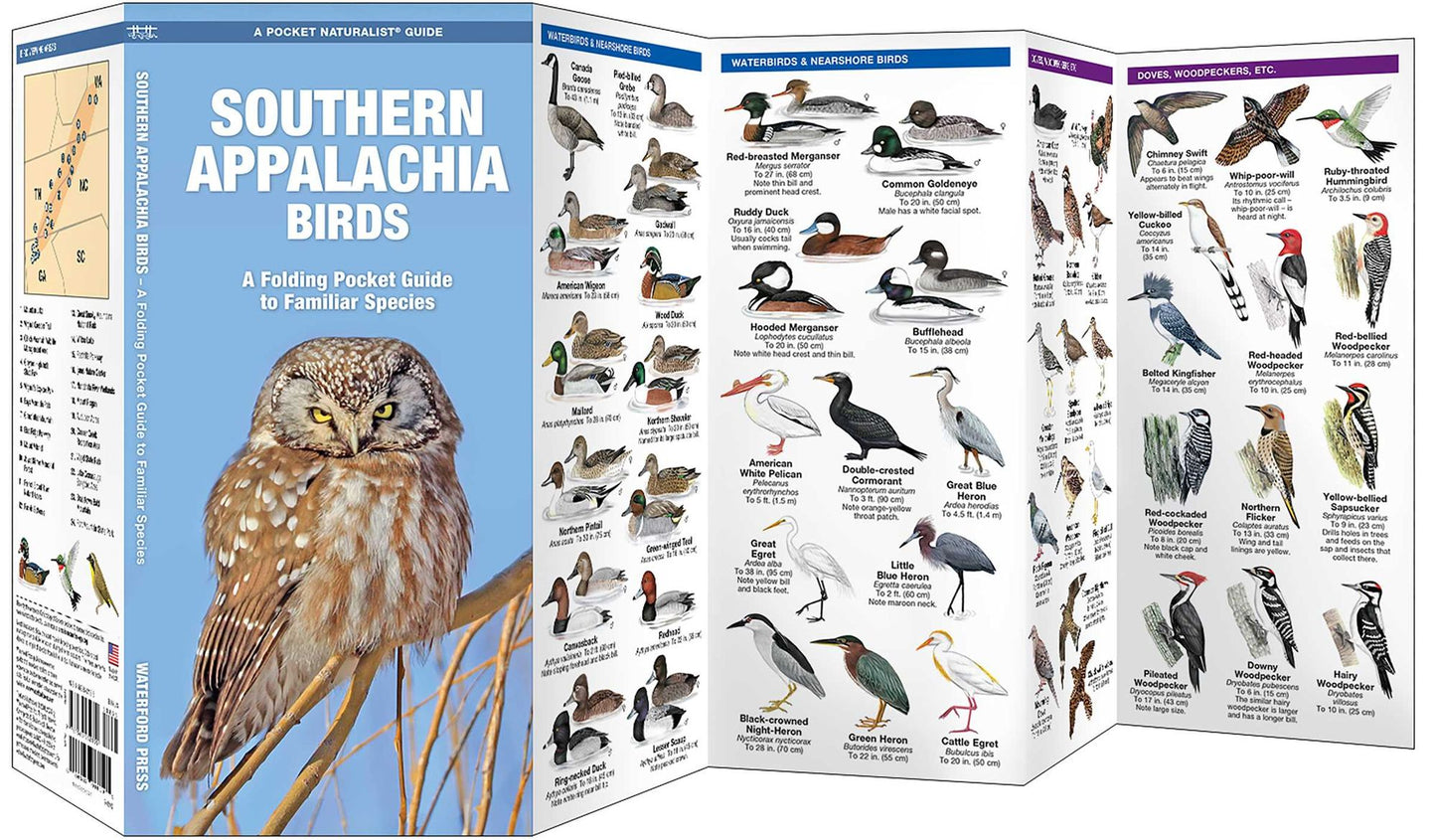 Southern Appalachian Birds: An Introduction to Over 140 Familiar Species (Pocket Naturalist Series)