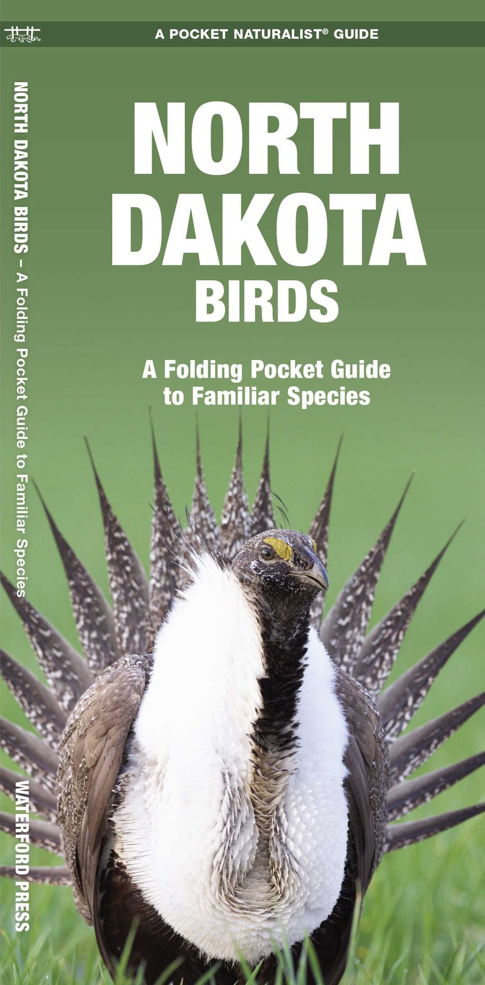 North Dakota Birds: An Introduction to Familiar Species