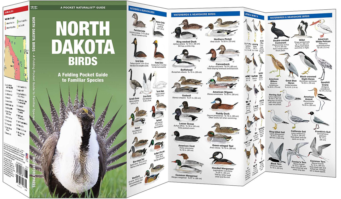 North Dakota Birds: An Introduction to Familiar Species