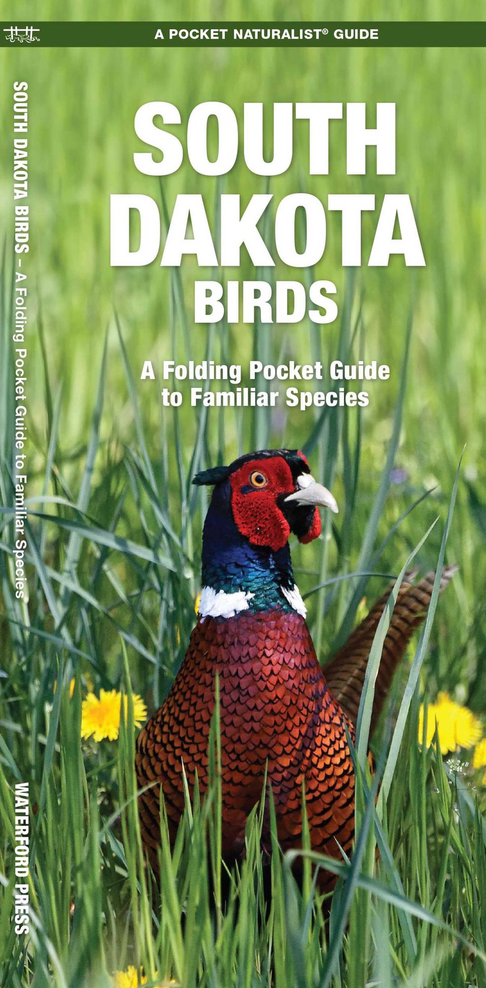 South Dakota Birds: An Introduction to Familiar Species