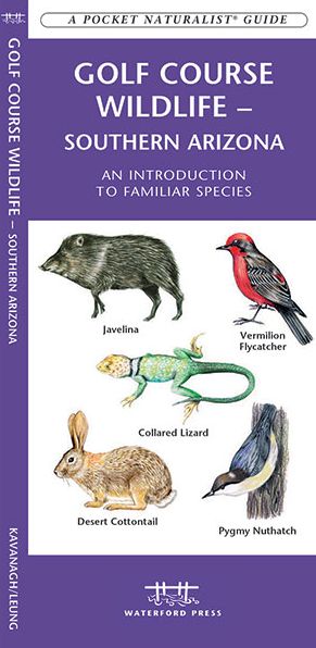 Pocket Naturalist: Golf Course Wildlife of Phoenix: An Introduction to Familiar Species