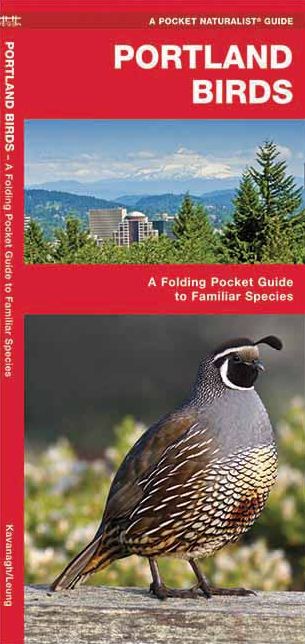 Pocket Naturalist: Portland Birds: An Introduction to Familiar Species