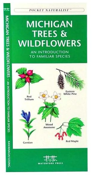 Michigan Trees & Wildflowers: An Introduction to Familiar Species (Pocket Naturalist Series)