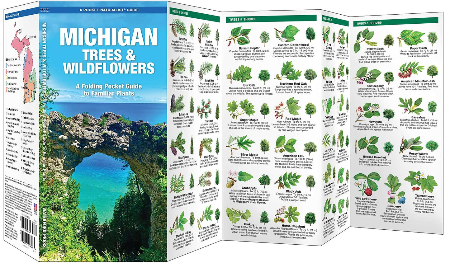 Michigan Trees & Wildflowers: An Introduction to Familiar Species (Pocket Naturalist Series)