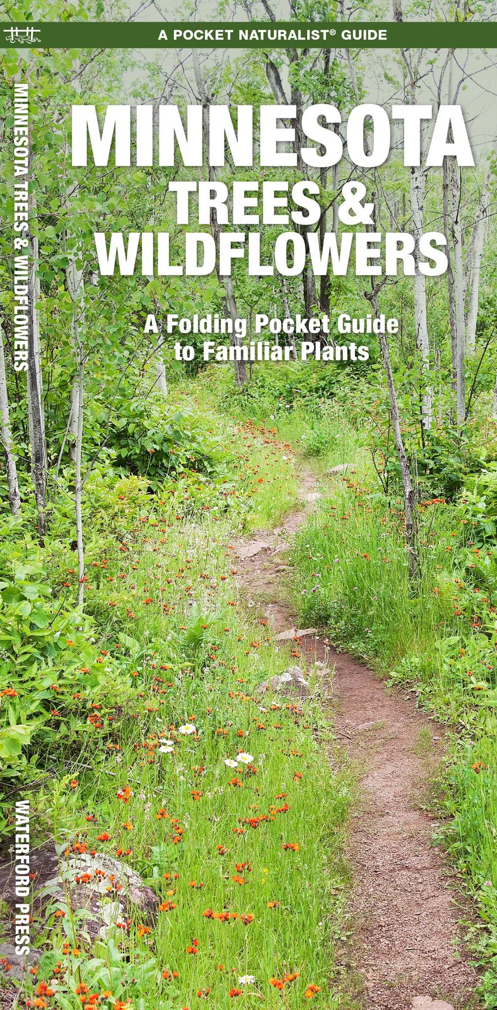 Minnesota Trees & Wildflowers: An Introduction to Familiar Species (Pocket Naturalist Series)