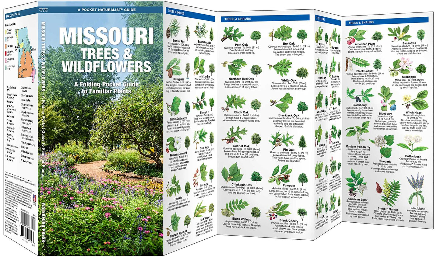 Missouri Trees & Wildflowers: An Introduction to Familiar Species (Pocket Naturalist Series)