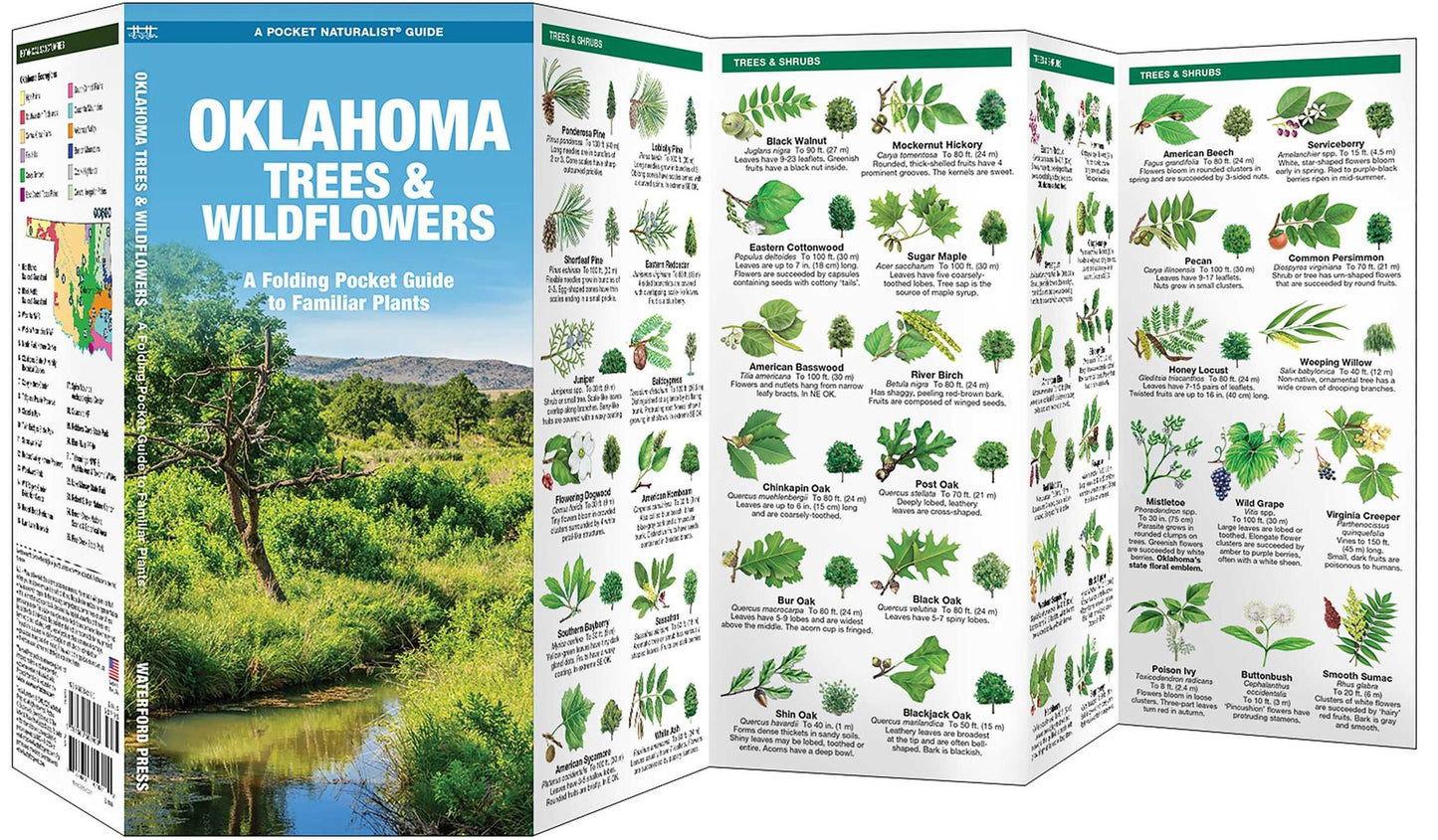 Oklahoma Trees & Wildflowers: An Introduction to Familiar Species (Pocket Naturalist Series)