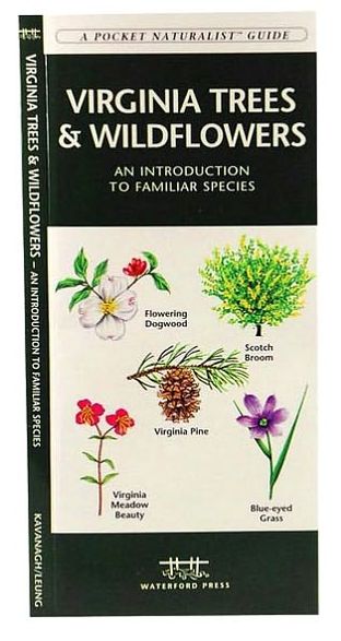 Virginia Trees & Wildflowers: An Introduction to Familiar Species (Pocket Naturalist Series)