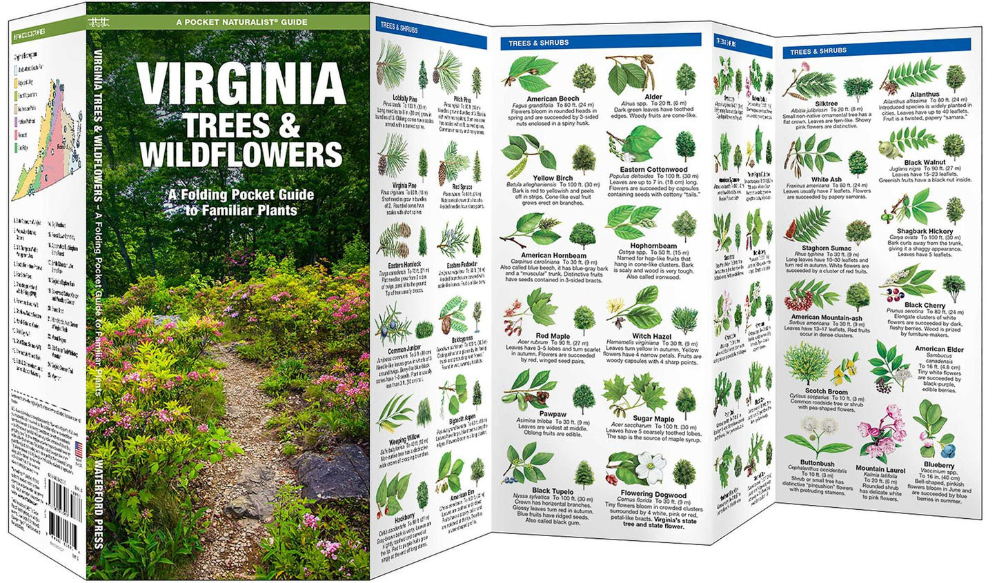 Virginia Trees & Wildflowers: An Introduction to Familiar Species (Pocket Naturalist Series)