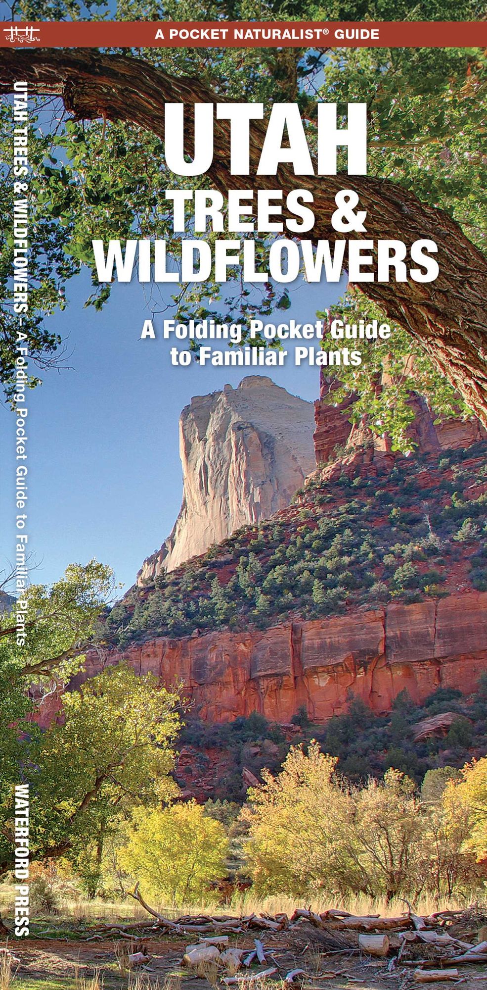 Pocket Naturalist Utah Trees & Wildflowers: An Introduction to Familiar Species of Trees, Shrubs and Wildflowers