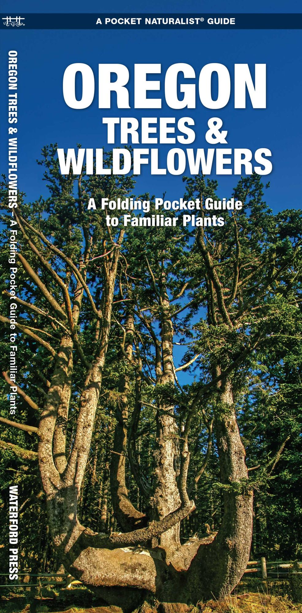 Pocket Naturalist Oregon Trees & Wildflowers: An Introduction to Familiar Species of Trees, Shrubs and Wildflowers
