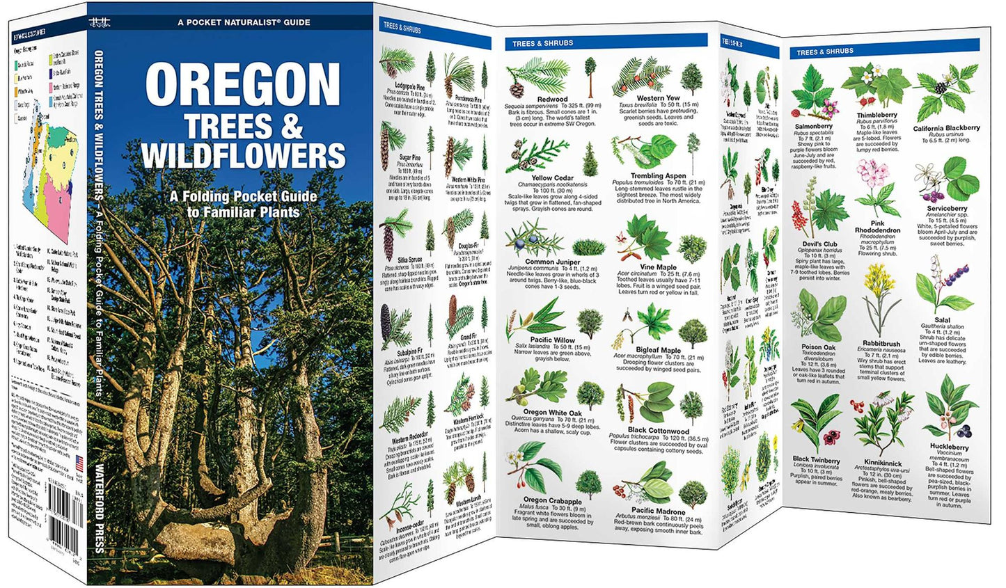 Pocket Naturalist Oregon Trees & Wildflowers: An Introduction to Familiar Species of Trees, Shrubs and Wildflowers