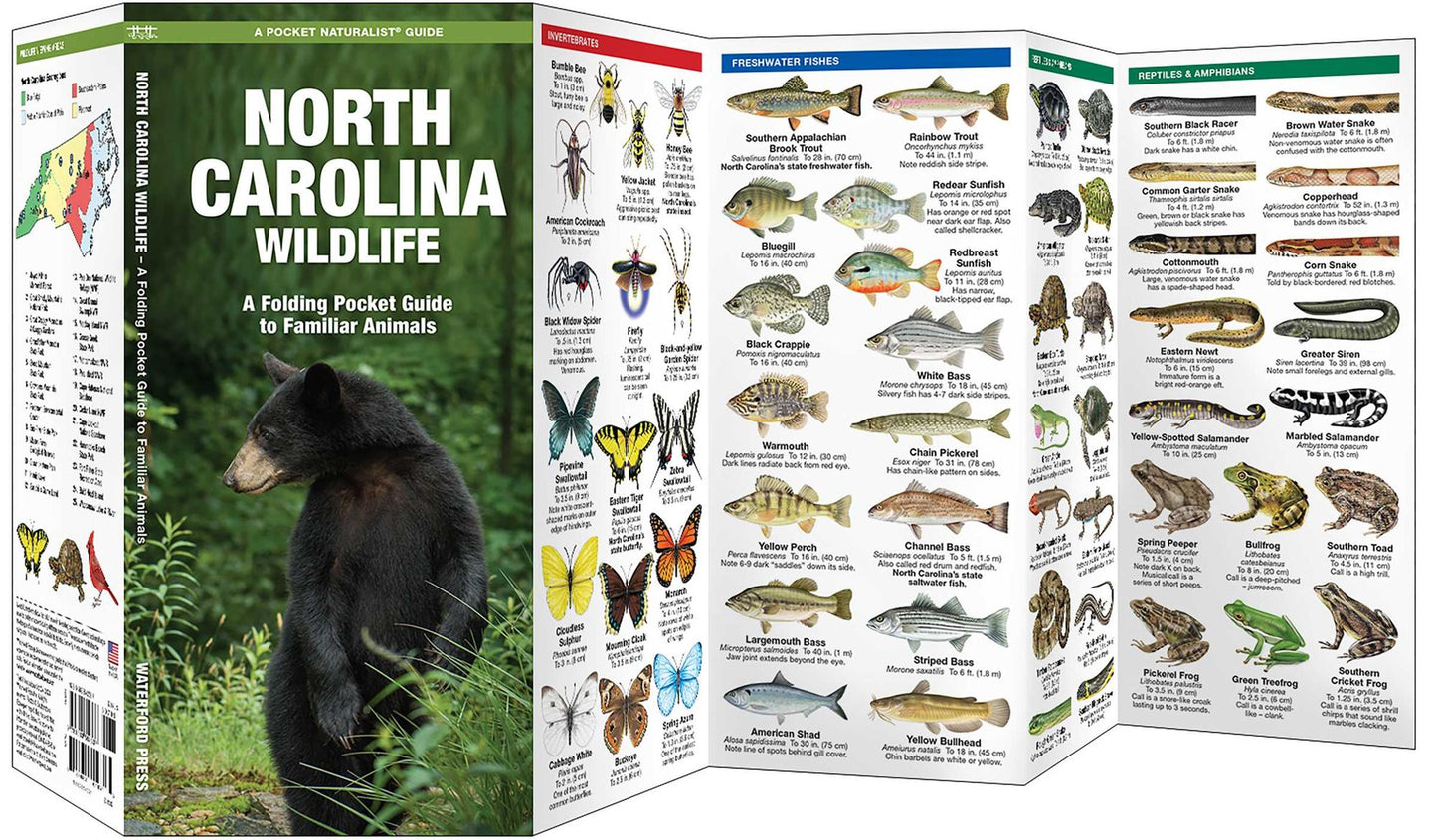 North Carolina Wildlife: An Introduction to Familiar Species (Pocket Naturalist Series)