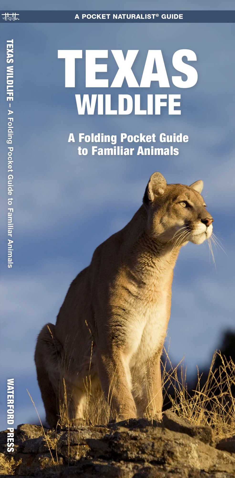 Texas Wildlife: An Introduction to Familiar Species (Pocket Naturalist Series)